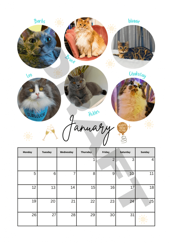 2026 Calendar - PRE-ORDER