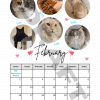 2026 Calendar - PRE-ORDER