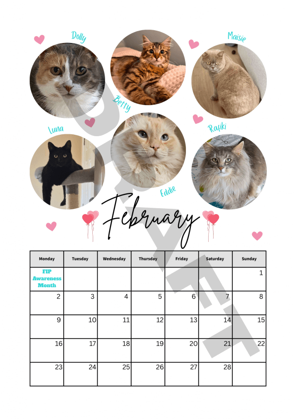 2026 Calendar - PRE-ORDER