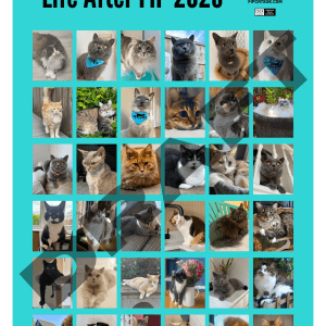 2026 Calendar - PRE-ORDER