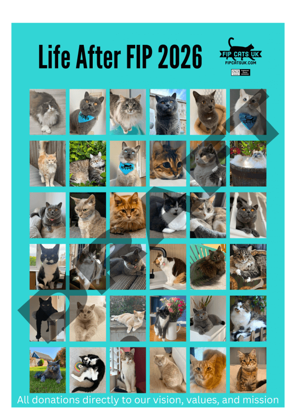 2026 Calendar - PRE-ORDER