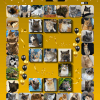 2027 Calendar - PRE-ORDER