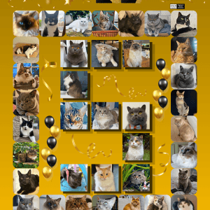 2027 Calendar - PRE-ORDER