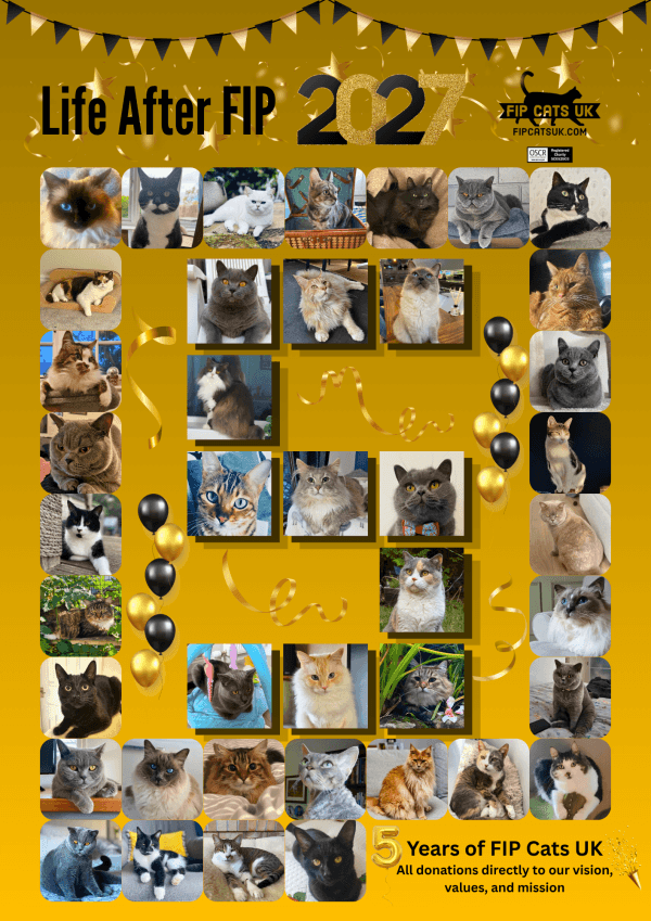 2027 Calendar - PRE-ORDER