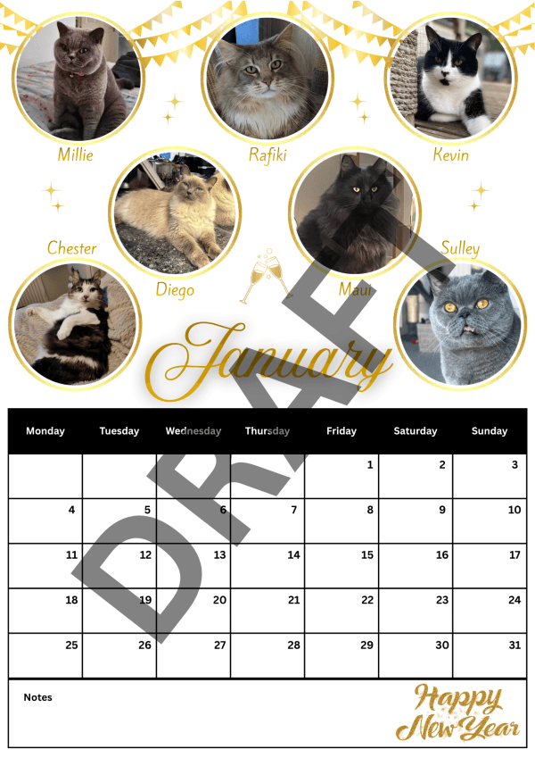 2027 Calendar - PRE-ORDER