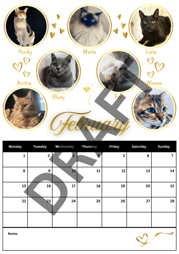 2027 Calendar - PRE-ORDER